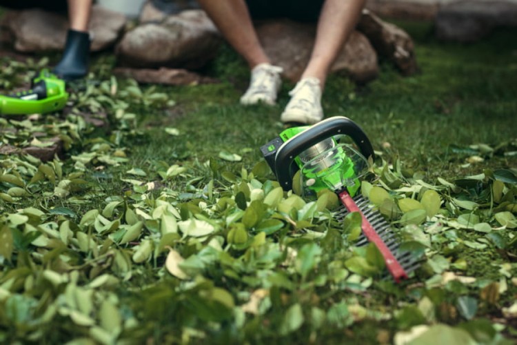 zastosowanie nożyc do żywopłotu 24V   GREENWORKS G24HT57