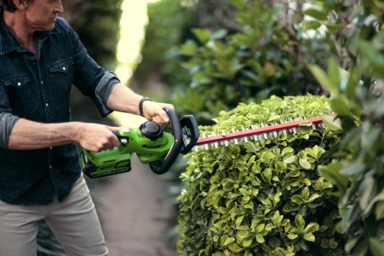 zastosowanie nożyc do żywopłotu akumulatorowych 40V GREENWORKS G40HT61