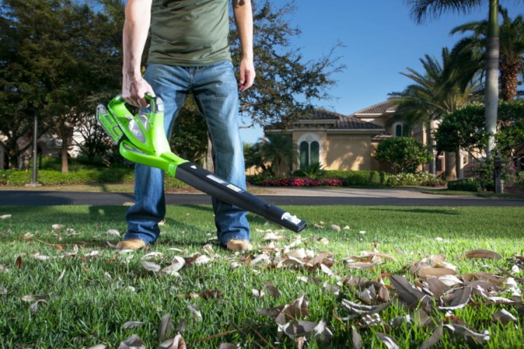 zastosowanie dmuchawy do liści GREENWORKS GD40BV