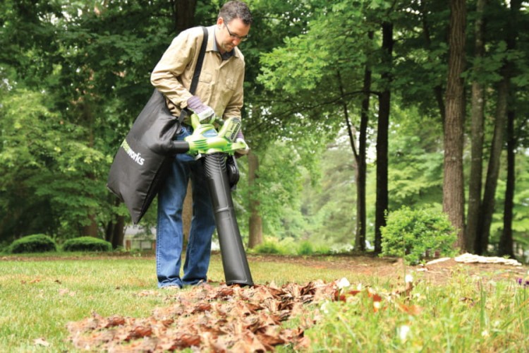 zastosowanie dmuchawy do ogrodu GREENWORKS GD40BV