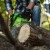 GREENWORKS GD60CS40 Pilarka łańcuchowych akumulatorowa