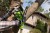 GREENWORKS G40CS30II
