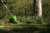 GREENWORKS G24LT30M Zastosowanie