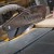 DEWALT DT4353 tarcza do drewna zastosowanie