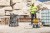 Myjka ciśnieniowa DEWALT DCMPW1600N zastosowanie