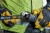 zastosowanie pilarki do drewna 18V DEWALT DCS380