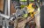 Pilarka  DeWalt DCS386NT - Zastosowanie