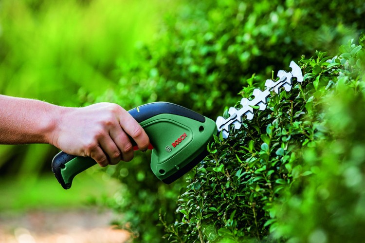 zastosowanie akumulatorowych nożyc do żywopłotu Bosch EasyShear