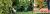 top.png