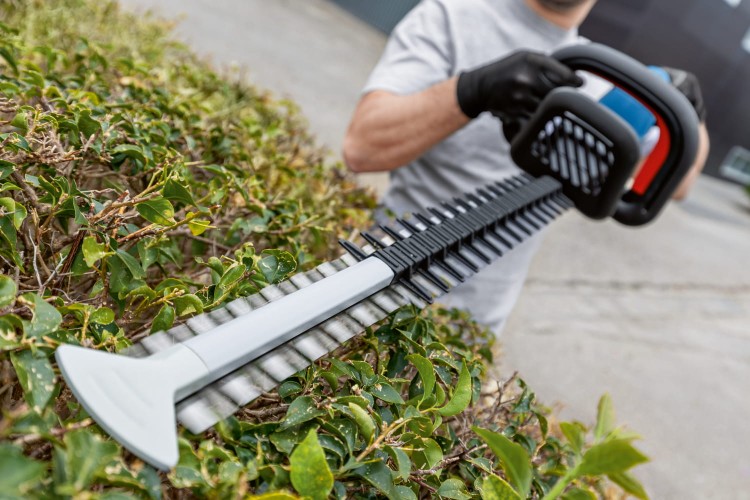 zastosowanie nożyc do żywopłotu akumulatorowych Bosch GHE 18V-60