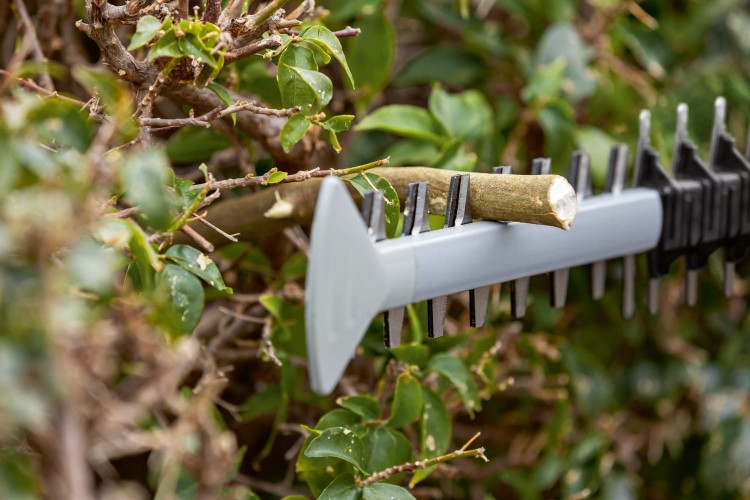 zastosowanie sekatora do żywopłotu akumulatorowego Bosch GHE 18V-60