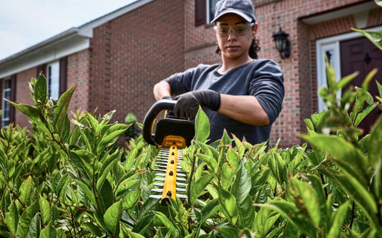 Nożyce do żywopłotu 54V DeWALT DCMHT573X1