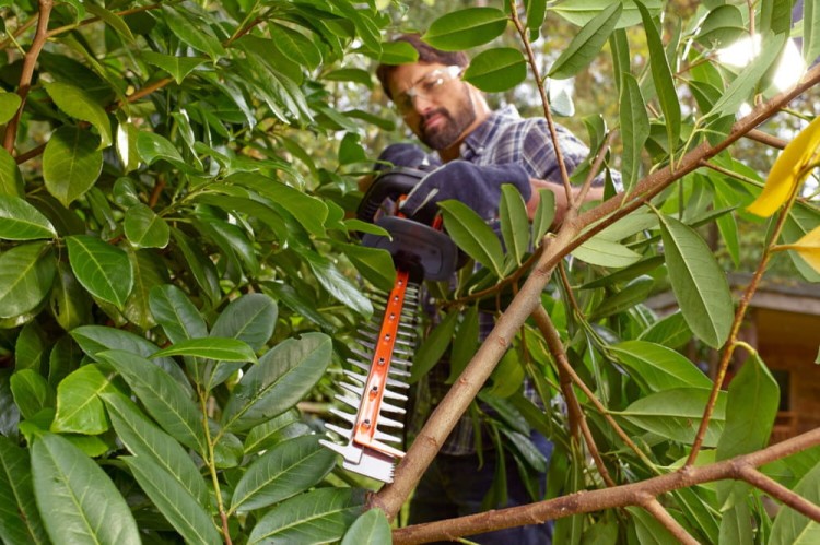 zastosowanie nożyc do żywopłotu sieciowych 60cm Decker BEHTS451