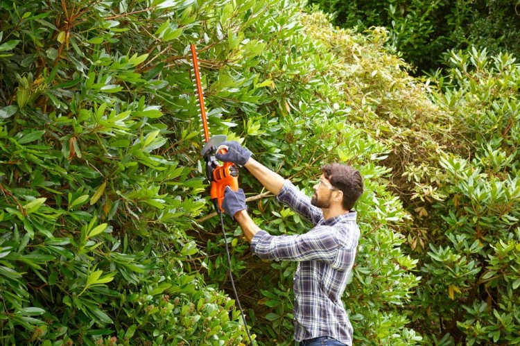 zastosowanie nożyc do żywopłotu BLACK DECKER BEHT251
