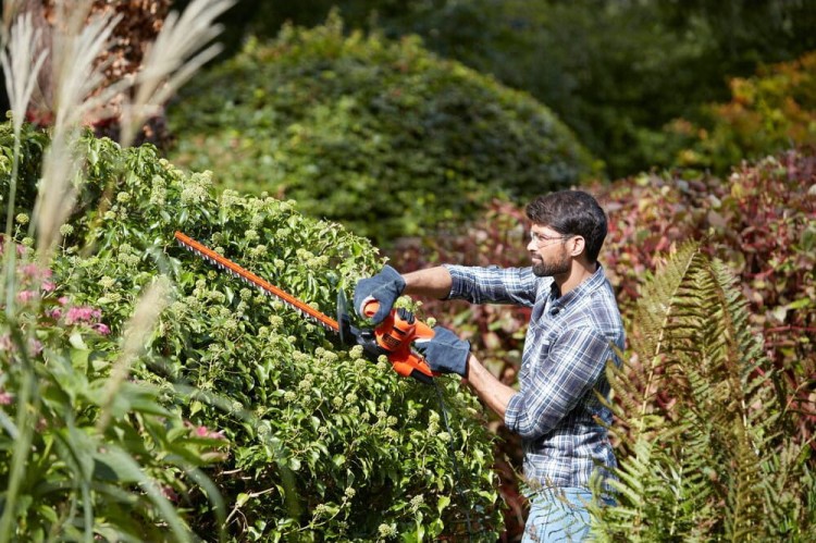 zastosowanie nożyc do żywopłotu 450W BLACK DECKER BEHT251
