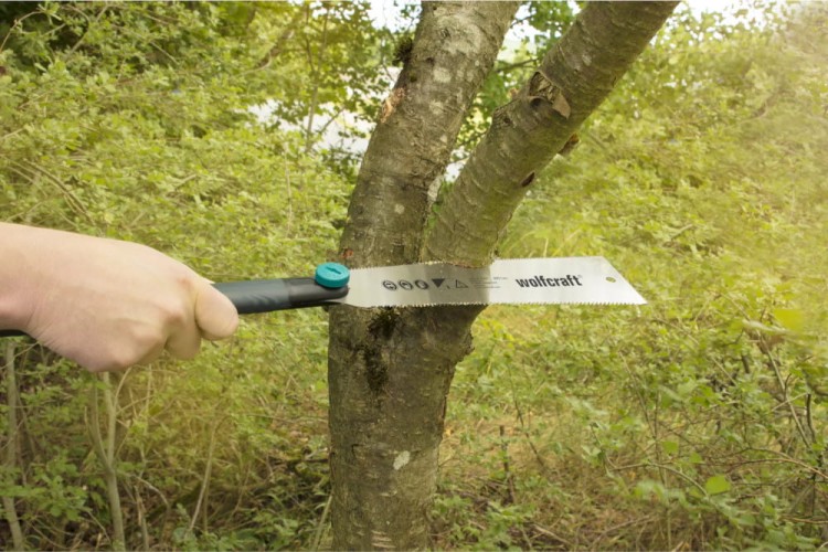 Piła japońska Wolfcraft 6955000 zastosowanie