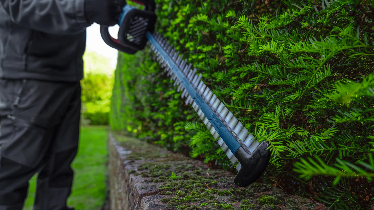 zastosowanie sekatora akumulatorowego 18V Bosch GHE 18V-50 II