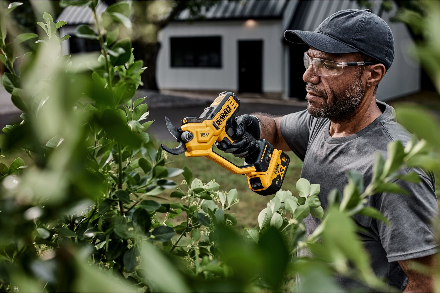 Zastosowannie sekatora akumulatorowego marki DeWalt
