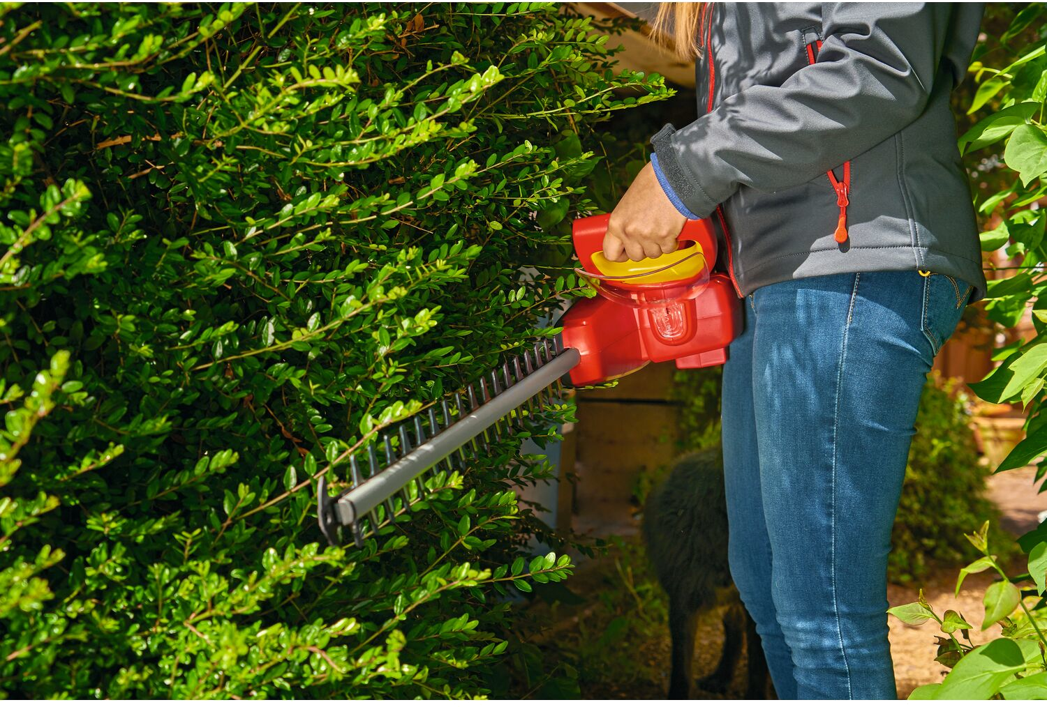 Zastosowanie nożyc do żywopłotu marki black decker