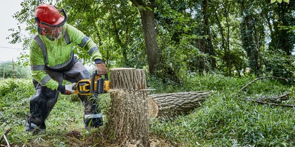 Pilarka łańcuchowa DeWALT DCMCS574X1 podczas pracy