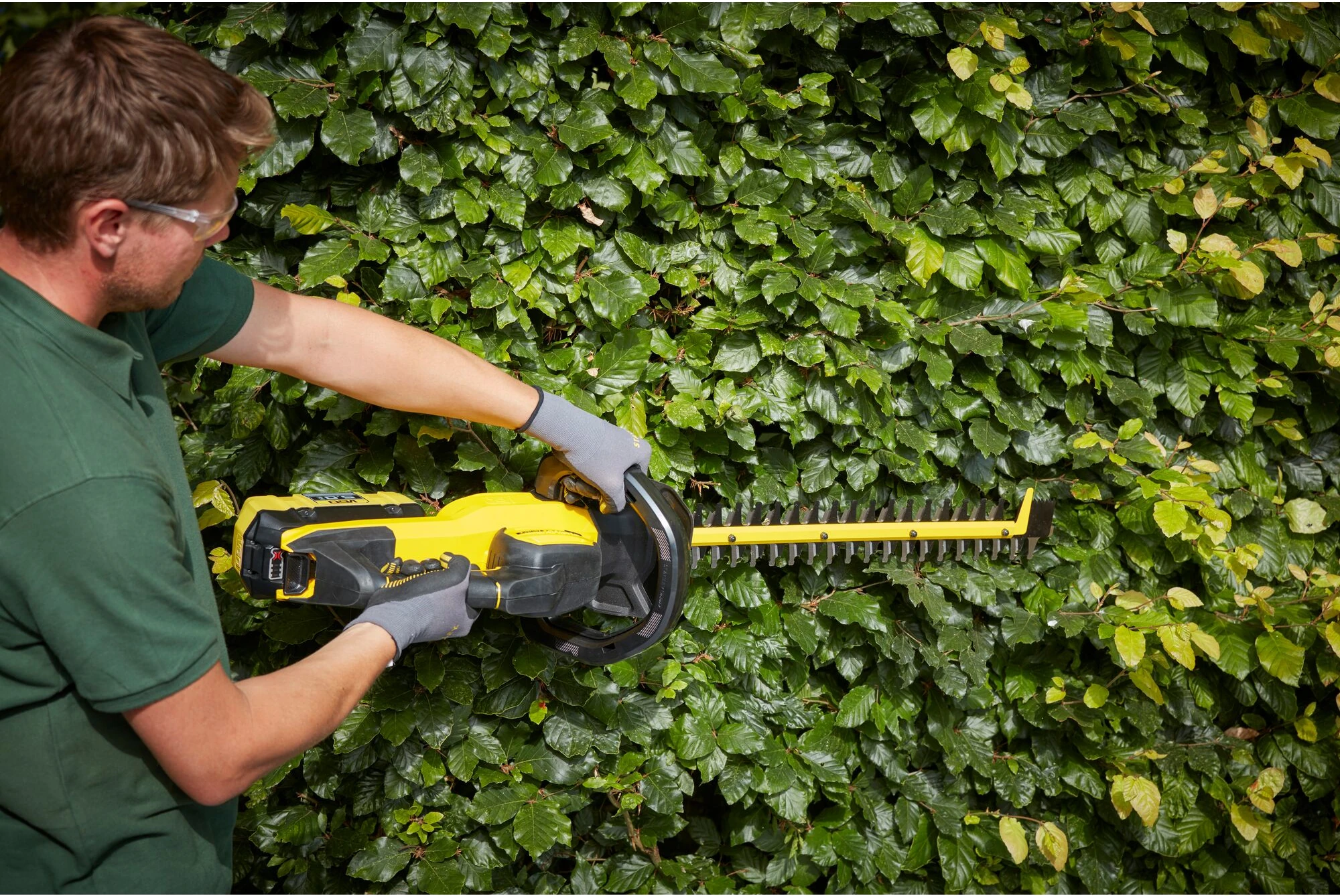 Przycinanie żywopłotu pilarką do żywopłotu DeWalt