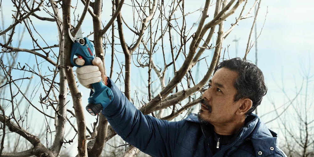Sekator Bosch Pro Pruner