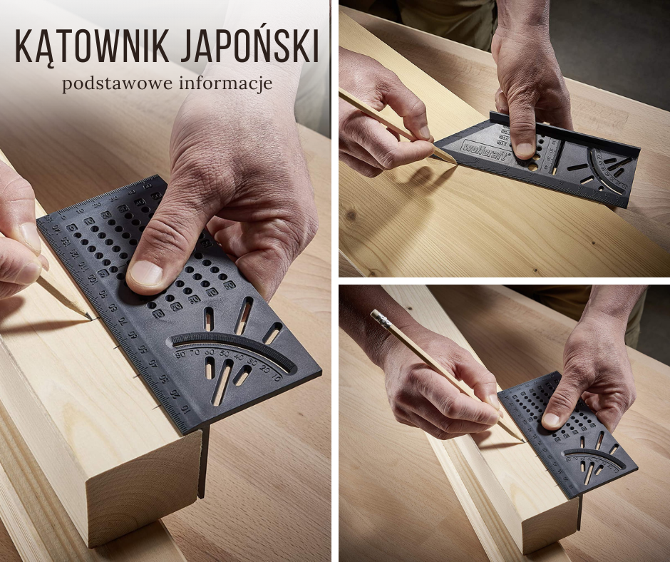 Kątownik japoński - Podstawowe informacje